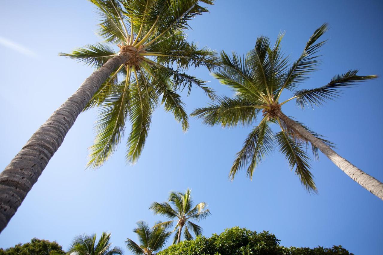Central Ocean View Studio 27A Airlie Beach Exterior foto